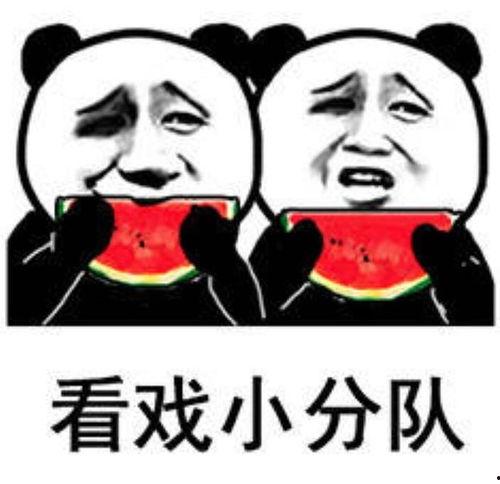 吃娱乐圈瓜表情包,吃瓜表情包盘点