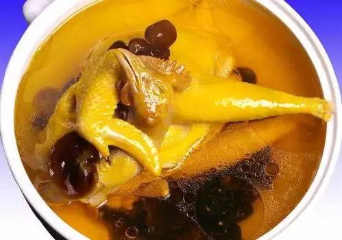 娱乐吃瓜酱鸡汤视频播放